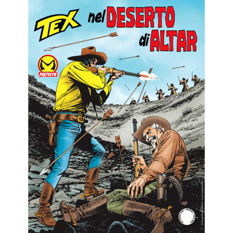 0743 - Nel deserto di Altar